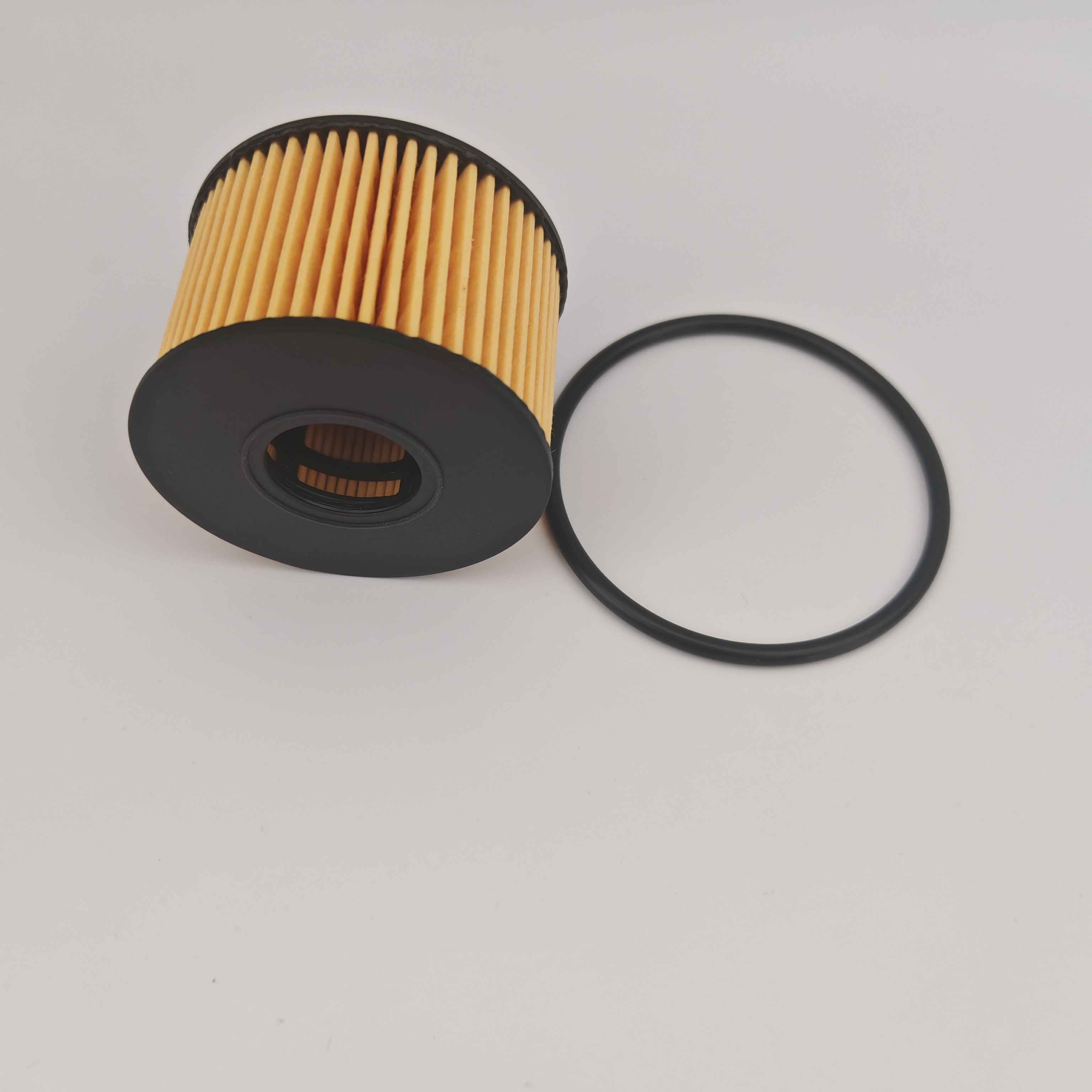 MS1-6744-AA OX1243D FOH5013 מסנן שמן עבור JMC